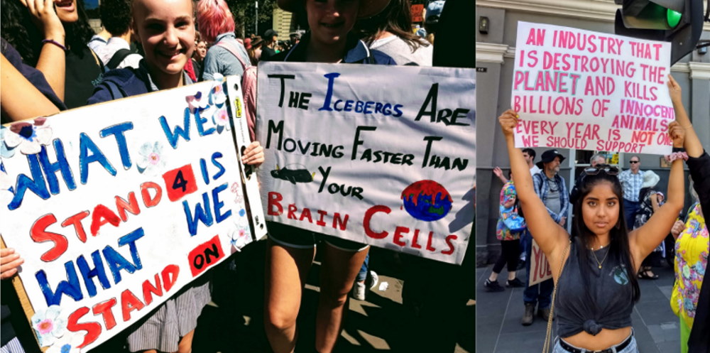 Climate-rally-2019